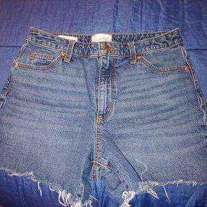Universal Thread Jeans Shorts 8/29R